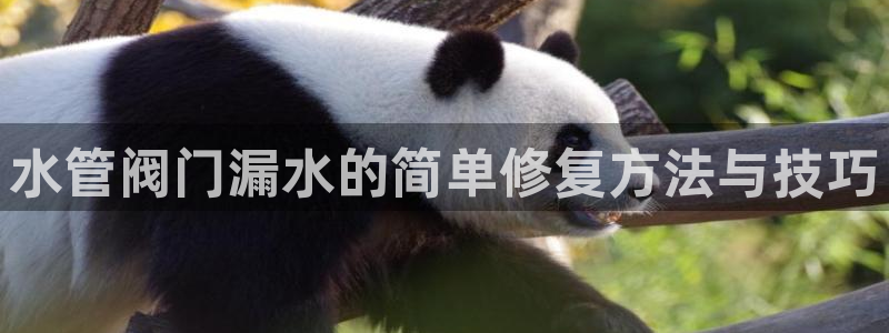 众腾娱乐邵阳