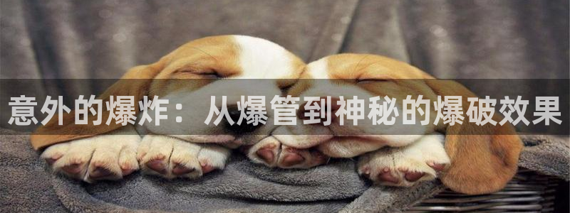 彝族自治州众腾娱乐