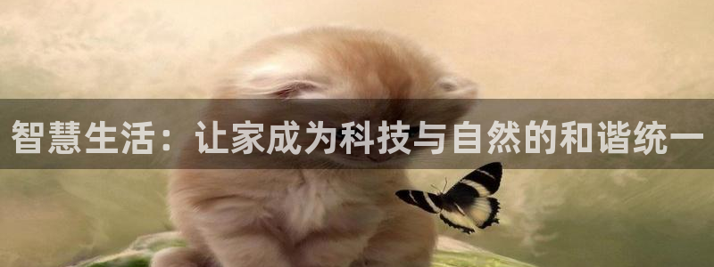 众腾娱乐公司简介