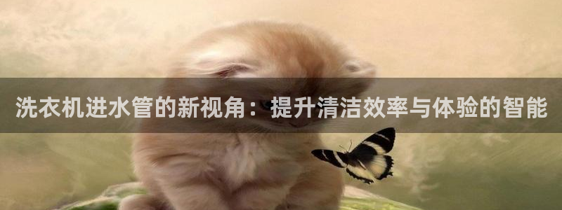 众腾娱乐博彩