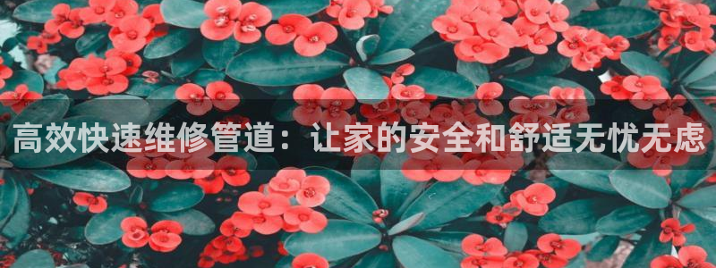 众腾娱乐邵阳