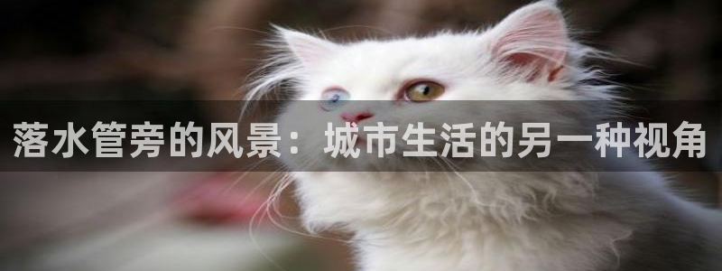 众腾娱乐下7O777