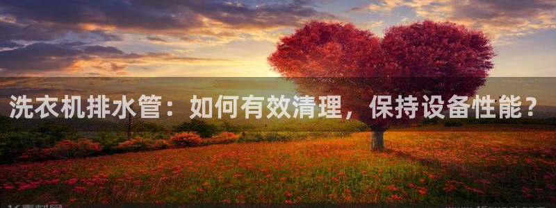 腾耀娱乐29999出众