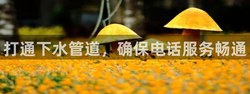 腾众娱乐彩票