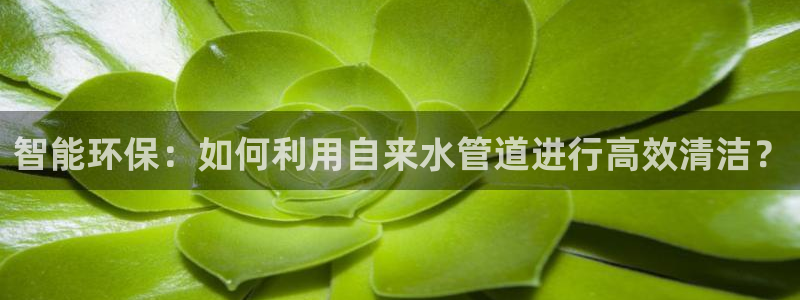 楚雄众腾娱乐