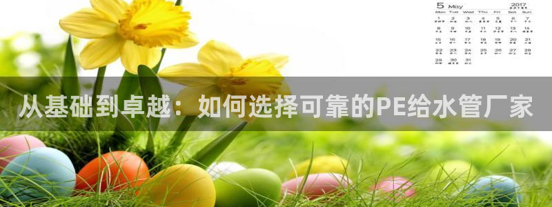 众腾娱乐文化怎么样