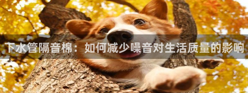 众腾娱乐平台下载