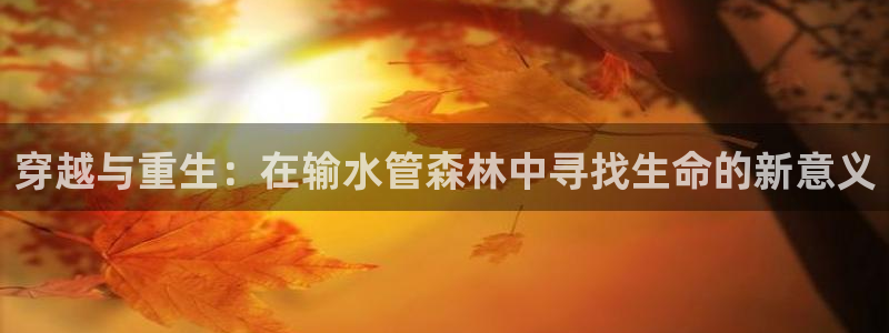 众腾娱乐总代理