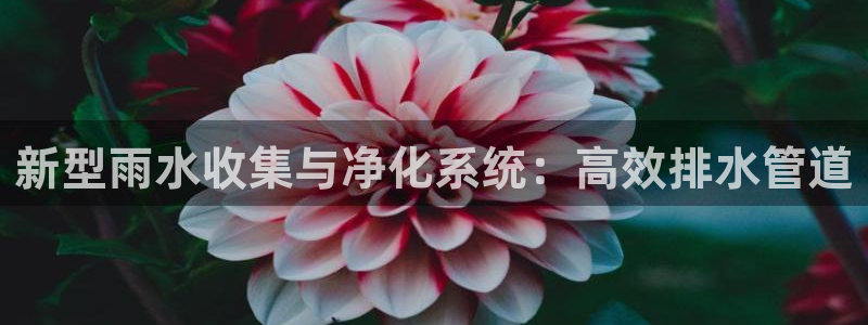 腾耀娱乐众推99840