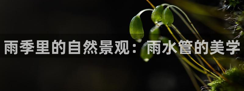 众腾娱乐毕 7O935