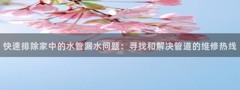 众腾娱乐客服