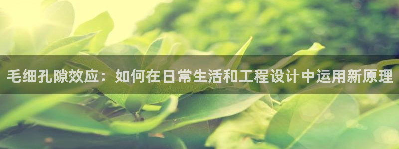 众腾娱乐总代理