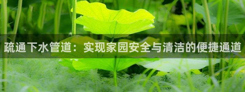 众腾娱乐招商