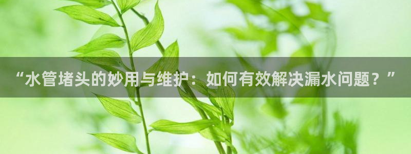 腾众娱乐彩票