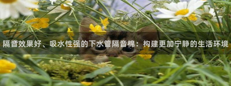 众腾娱乐邵阳