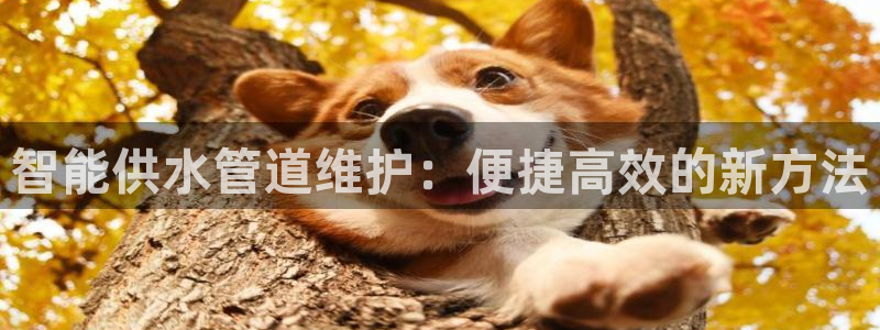 众腾娱乐得7O777