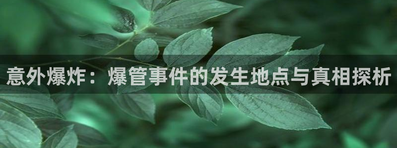 众腾娱乐梦幻演艺店