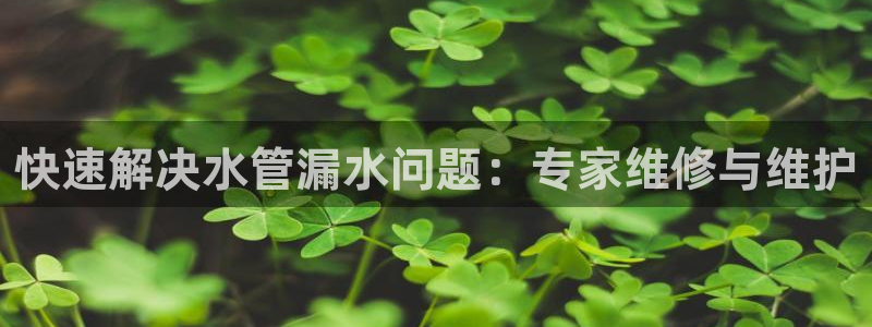 众腾娱乐代理怎么样