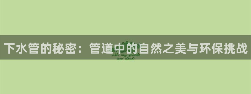 楚雄众腾娱乐是干什么的