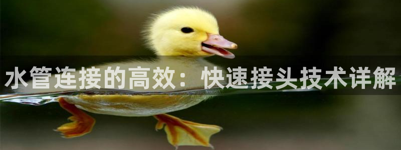 彝族自治州众腾娱乐
