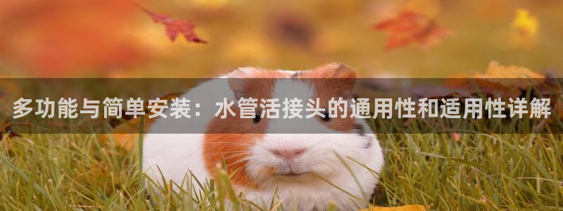 腾众娱乐是个啥