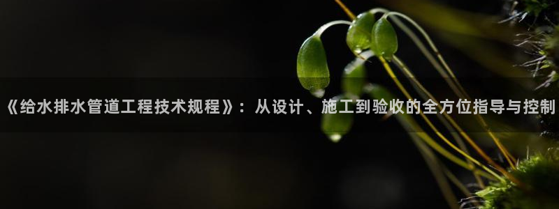 众腾娱乐公司简介