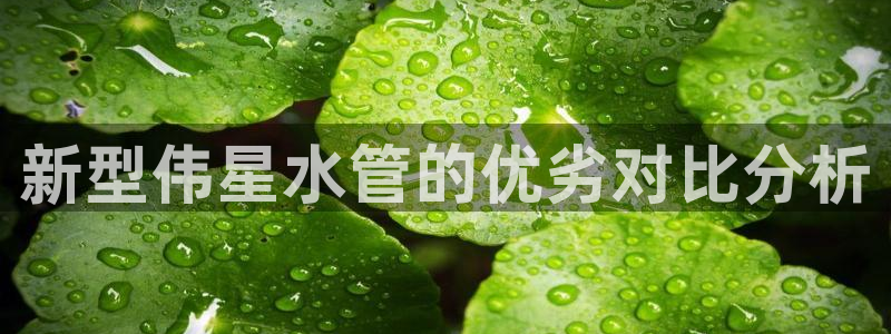 腾众娱乐的彩票靠谱吗