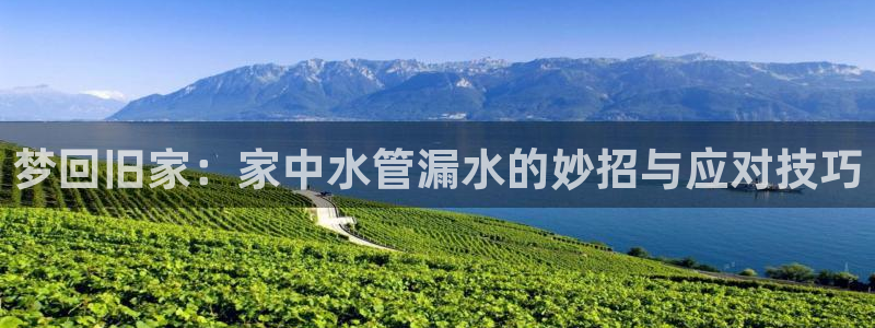 众腾娱乐平台下载