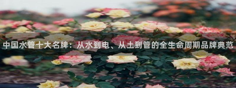 众腾娱乐招商