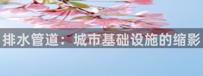 众腾娱乐app