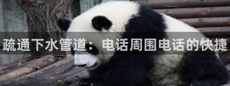 腾众娱乐彩票