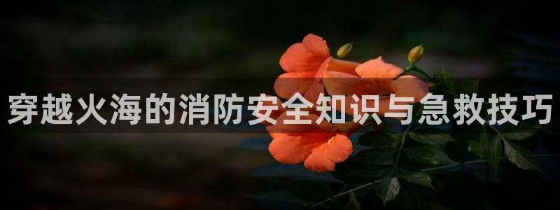 众腾娱乐集团有限公司