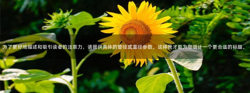 众腾娱乐公司简介