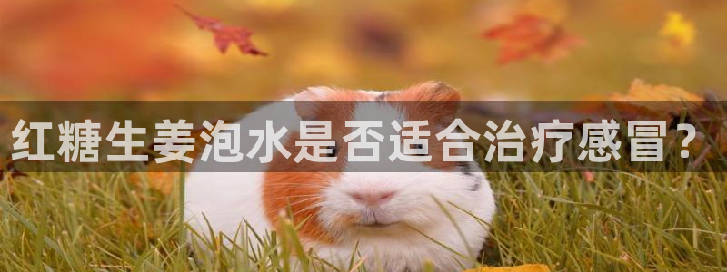 楚雄众腾娱乐是干什么的