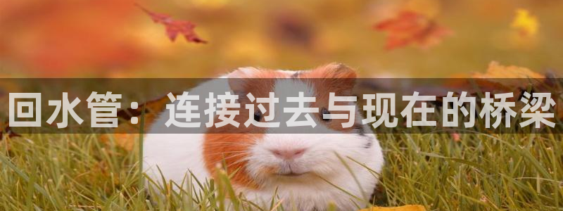 众腾娱乐发7O777