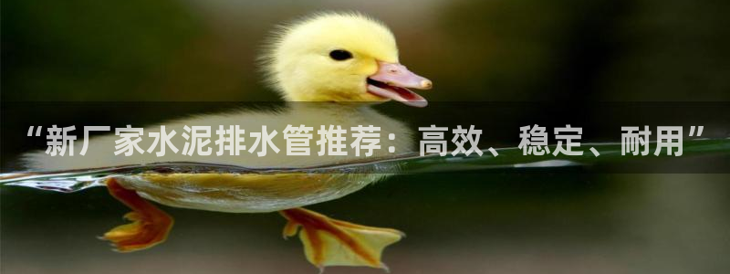 众腾娱乐登入探索无限空间