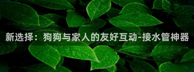 众东腾娱乐客服