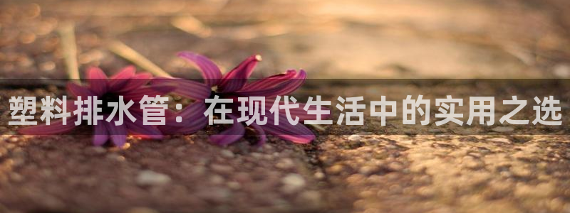 腾众娱乐是什么
