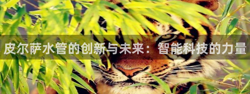 楚雄众腾娱乐是干什么的