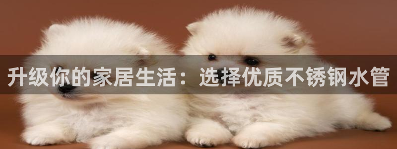 众腾娱乐集团有限公司