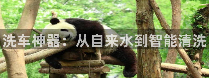 众腾娱乐发7O777