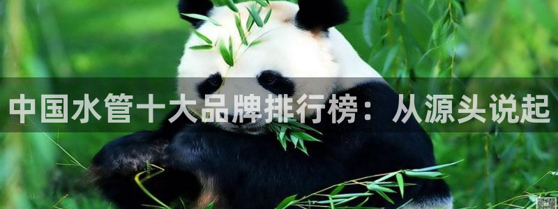 腾耀娱乐众推99840