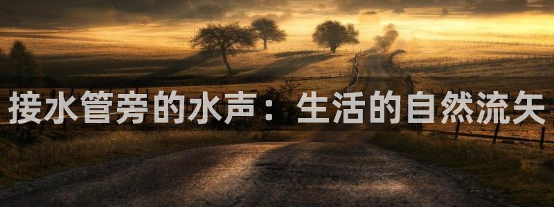 众腾娱乐博彩