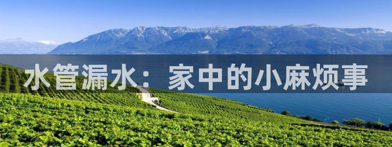 众腾娱乐平台下载