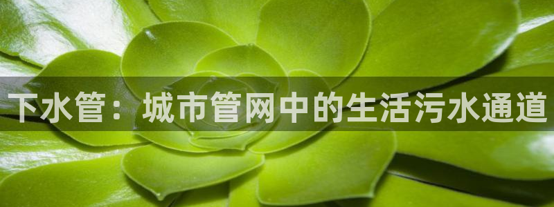 楚雄众腾娱乐在哪里