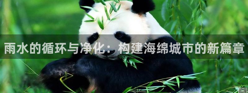 楚雄众腾娱乐是干什么的