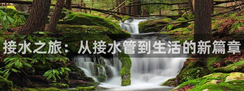 内蒙古众腾娱乐文化法人