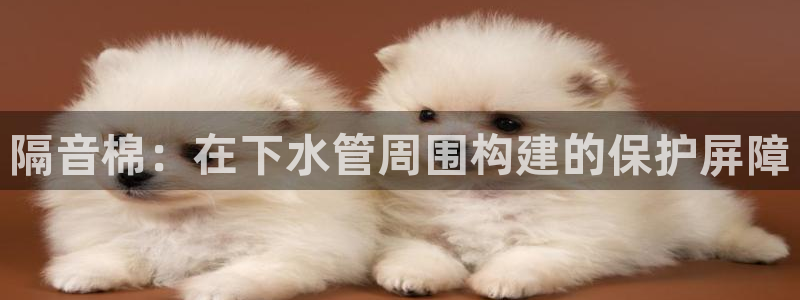 众腾娱乐平台下载