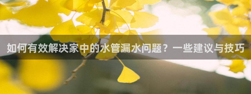 众腾娱乐平台官网入口