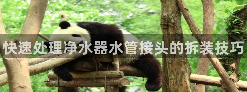 岳阳众腾ktv娱乐